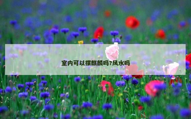 室内可以摆麒麟吗?风水吗