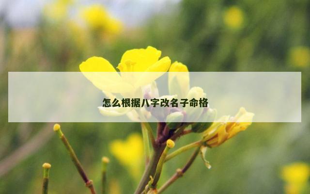 怎么根据八字改名子命格