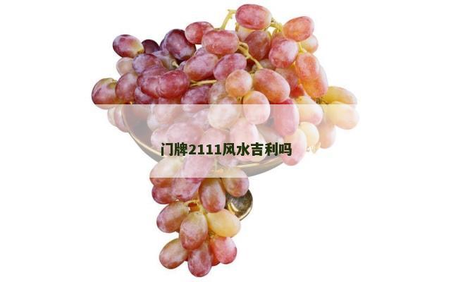 门牌2111风水吉利吗