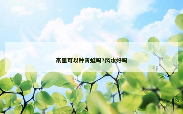 家里可以种青蛙吗?风水好吗