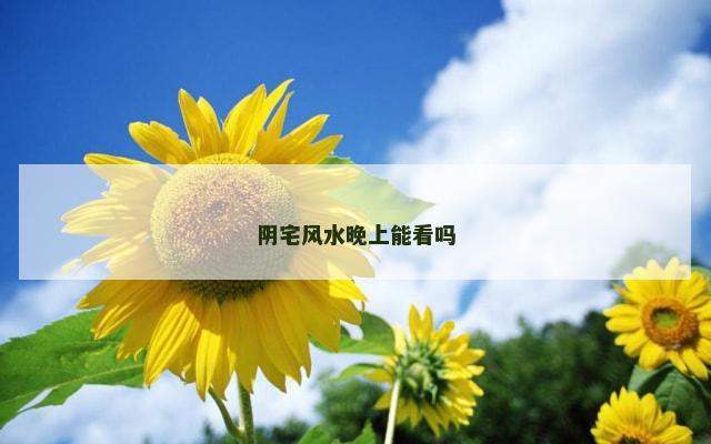 阴宅风水晚上能看吗