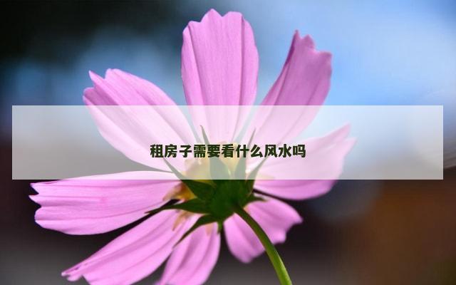 租房子需要看什么风水吗