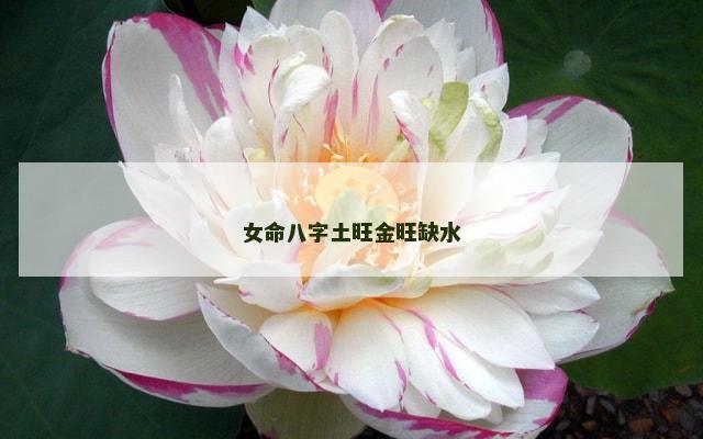 女命八字土旺金旺缺水