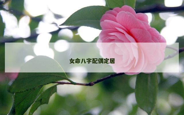 女命八字配偶定居