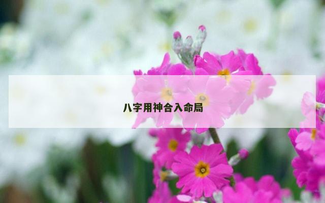八字用神合入命局