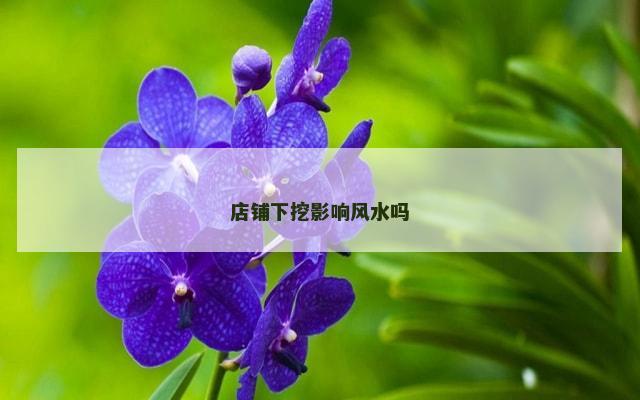 店铺下挖影响风水吗