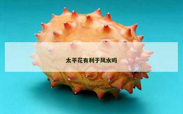 太平花有利于风水吗