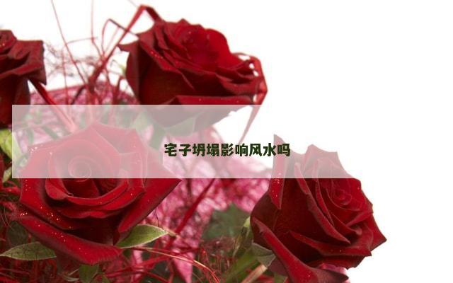 宅子坍塌影响风水吗