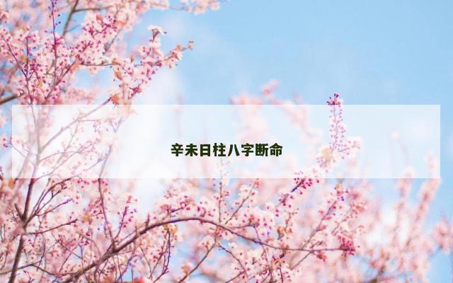 辛未日柱八字断命