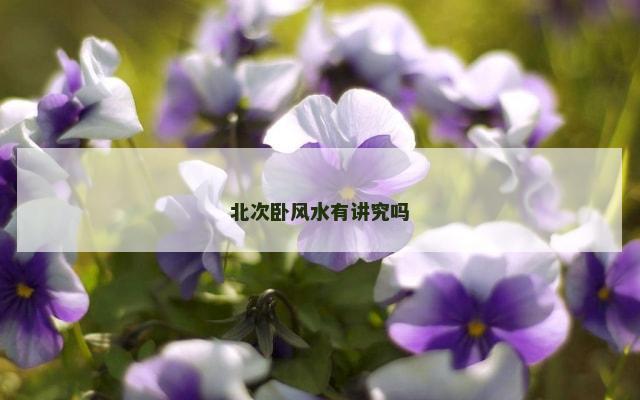 北次卧风水有讲究吗