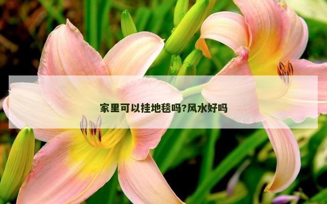 家里可以挂地毯吗?风水好吗