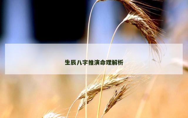 生辰八字推演命理解析