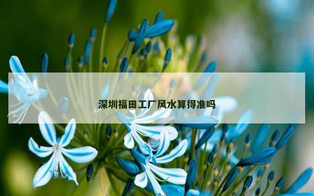 深圳福田工厂风水算得准吗