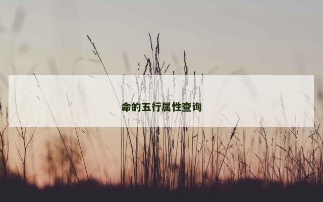 命的五行属性查询