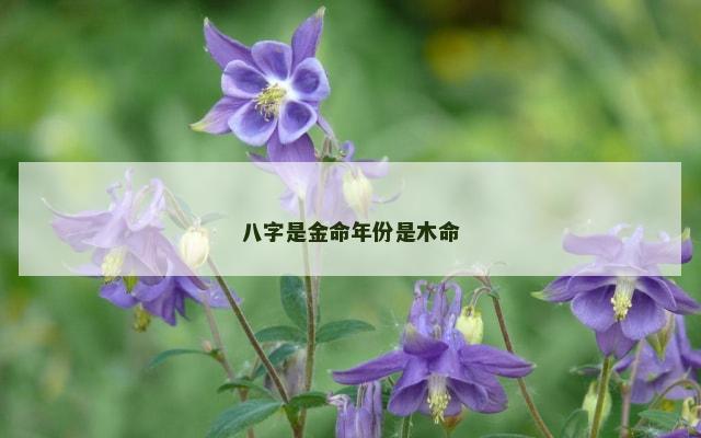 八字是金命年份是木命