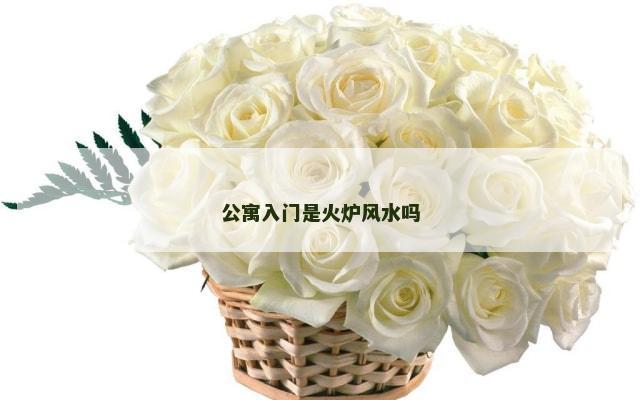 公寓入门是火炉风水吗