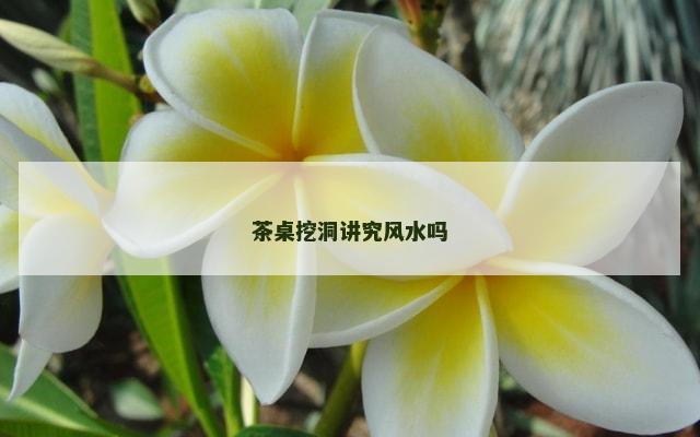 茶桌挖洞讲究风水吗