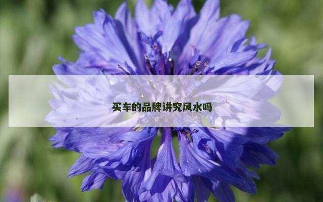 买车的品牌讲究风水吗