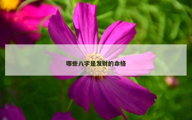 哪些八字是发财的命格