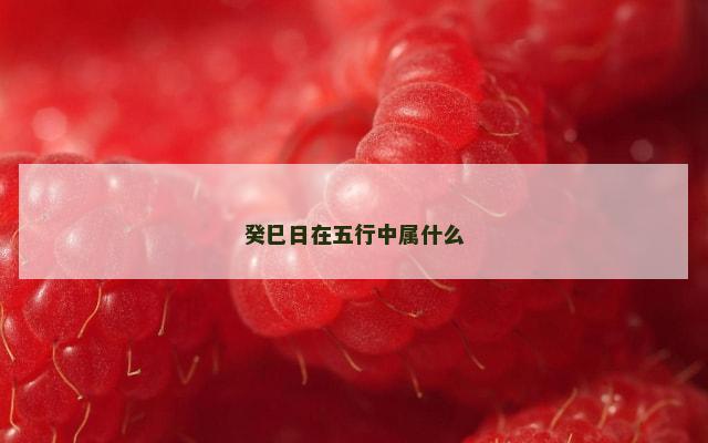 癸巳日在五行中属什么