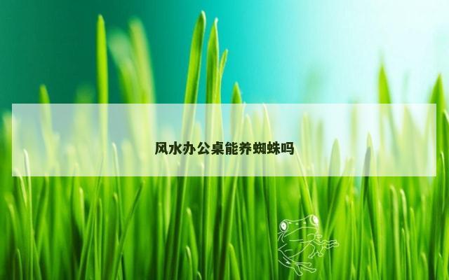 风水办公桌能养蜘蛛吗