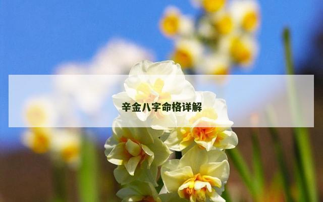 辛金八字命格详解