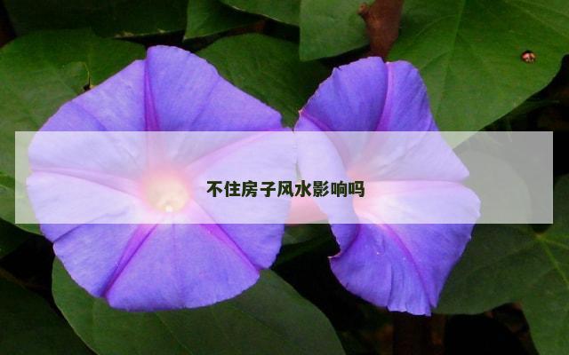 不住房子风水影响吗