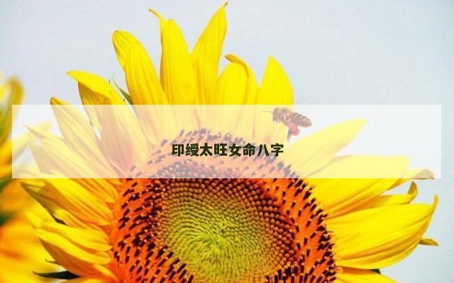 印绶太旺女命八字