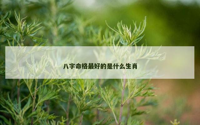 八字命格最好的是什么生肖