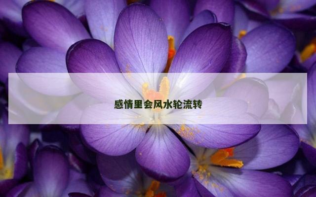 感情里会风水轮流转