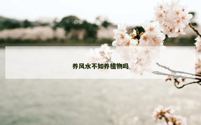 养风水不如养植物吗