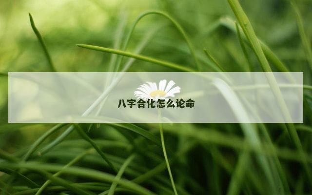 八字合化怎么论命