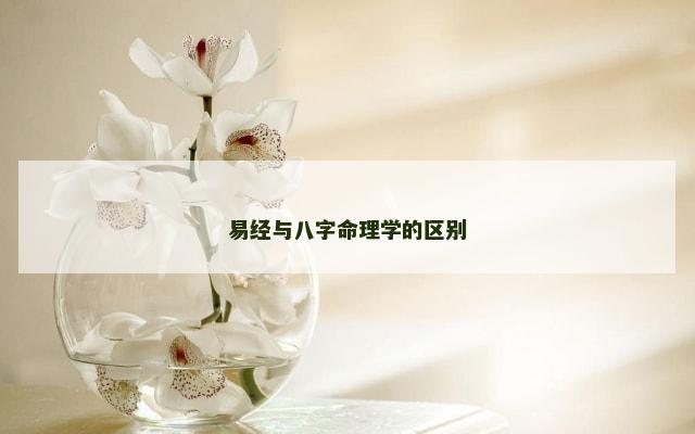 易经与八字命理学的区别