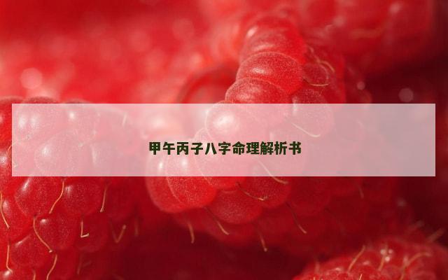 甲午丙子八字命理解析书