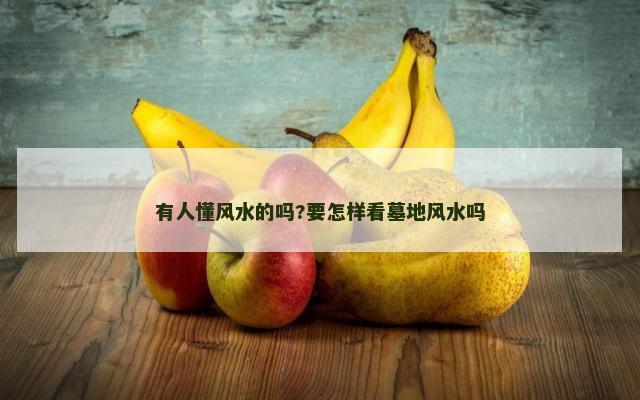 有人懂风水的吗?要怎样看墓地风水吗