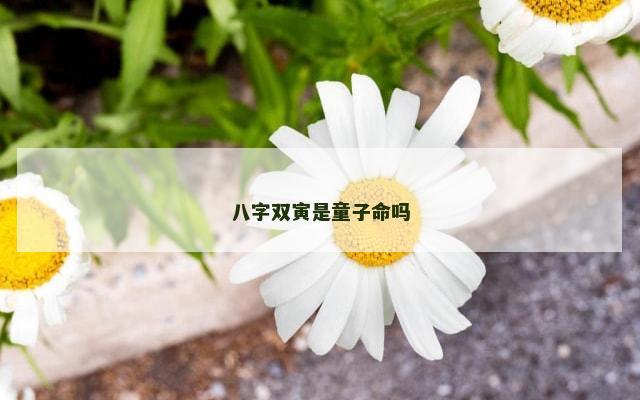 八字双寅是童子命吗