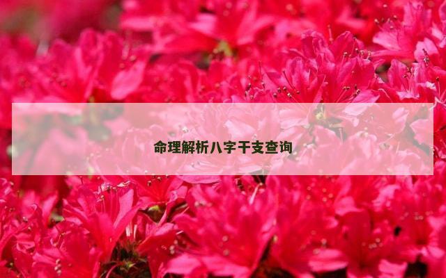命理解析八字干支查询