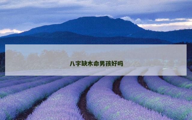 八字缺木命男孩好吗
