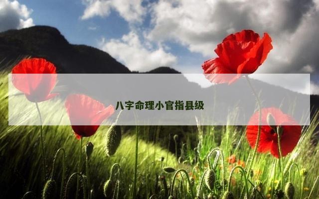 八字命理小官指县级