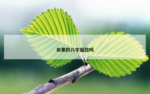 命里的八字能信吗