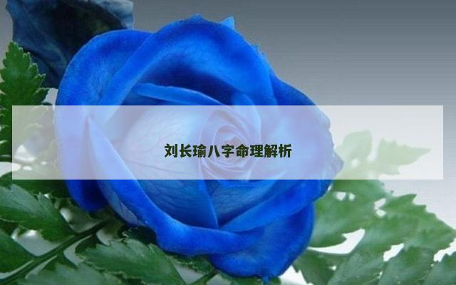 刘长瑜八字命理解析