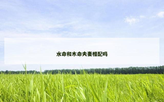 水命和木命夫妻相配吗