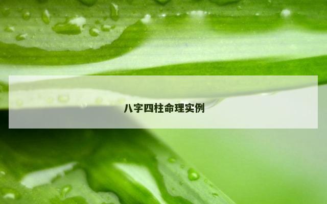 八字四柱命理实例