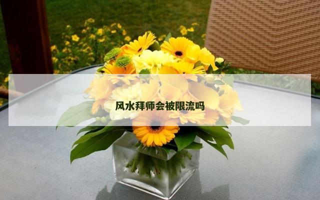风水拜师会被限流吗