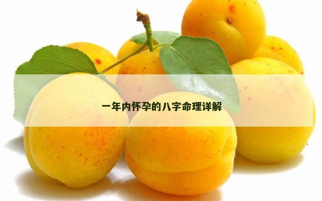 一年内怀孕的八字命理详解