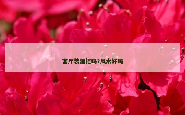 客厅装酒柜吗?风水好吗