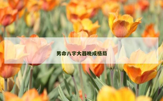 男命八字大器晚成格局