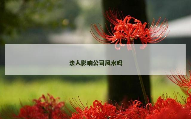 法人影响公司风水吗