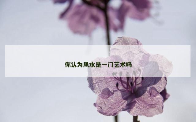 你认为风水是一门艺术吗