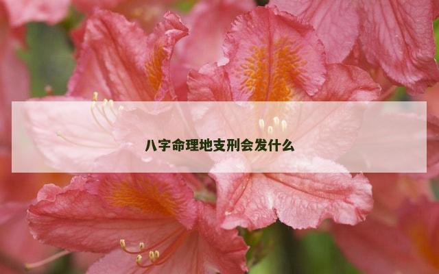 八字命理地支刑会发什么